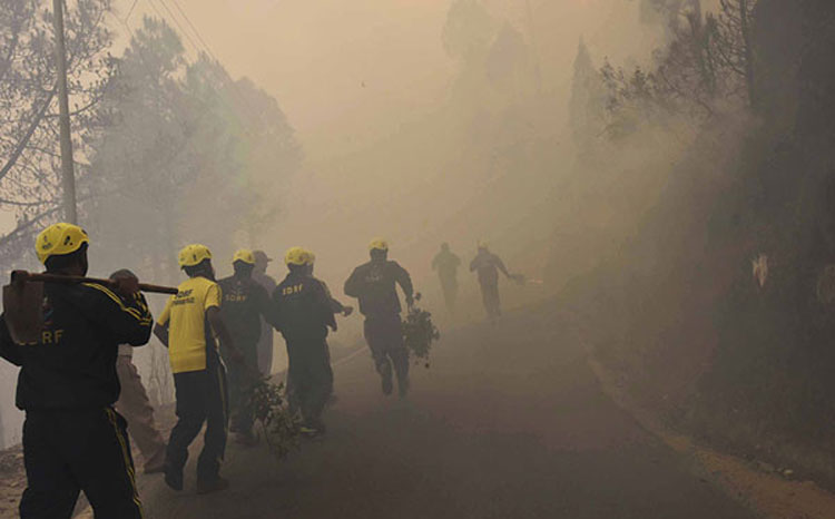 Uttarakhand fires under control, at least 7 dead