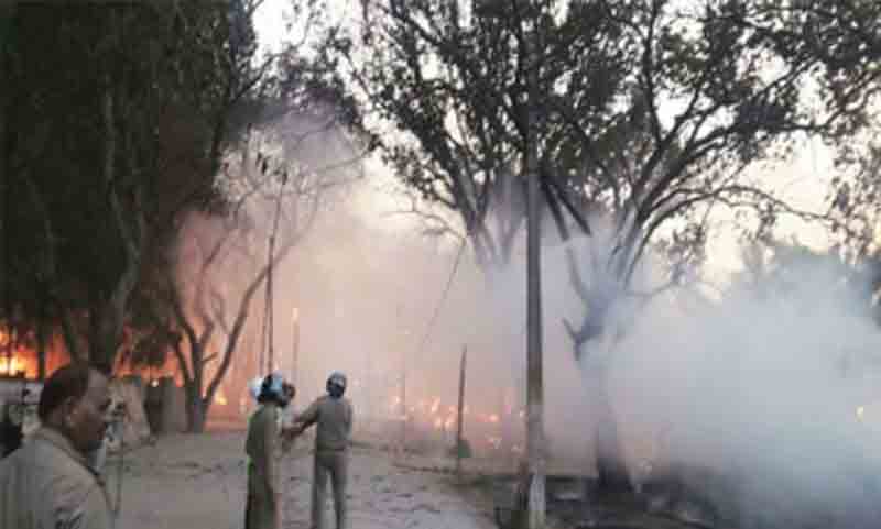 24 killed in clashes over the eradication campaign in India