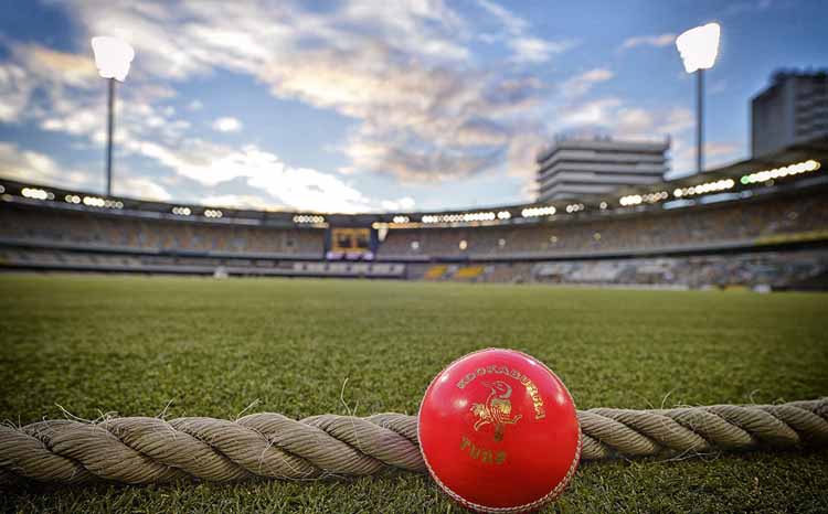 India-New Zealand series day-night test are not held