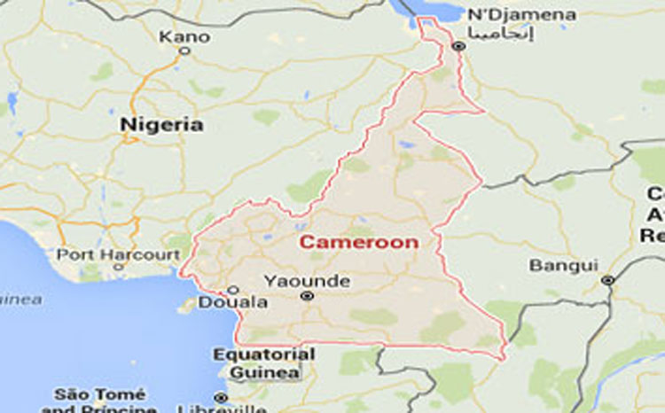 Suicide bomber kills 10 in Cameroon