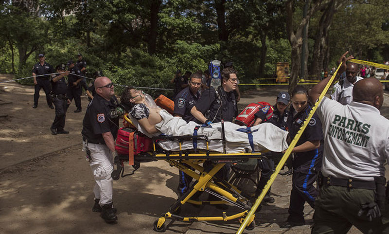 Central Park in New York panic explosions