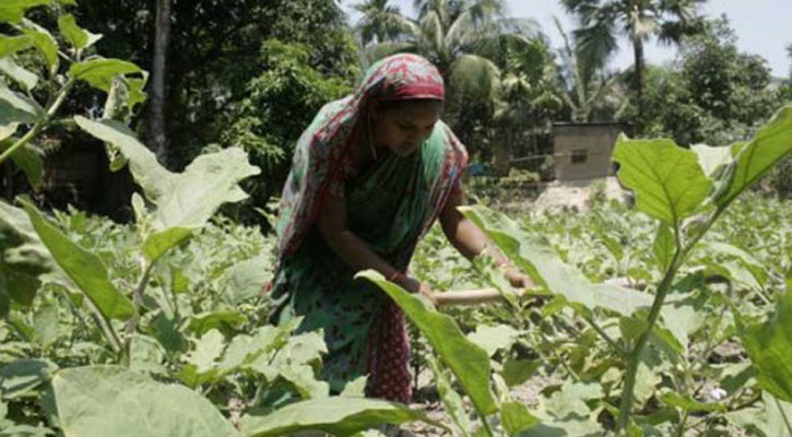 USAID agricultural innovation in the development of new projects