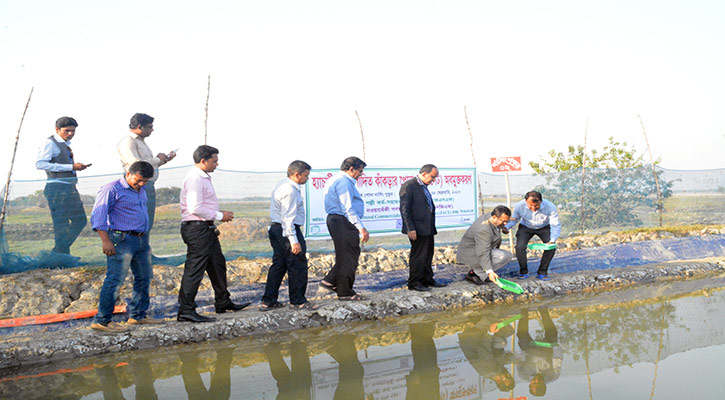 The first crab hatcheries fingerlings production