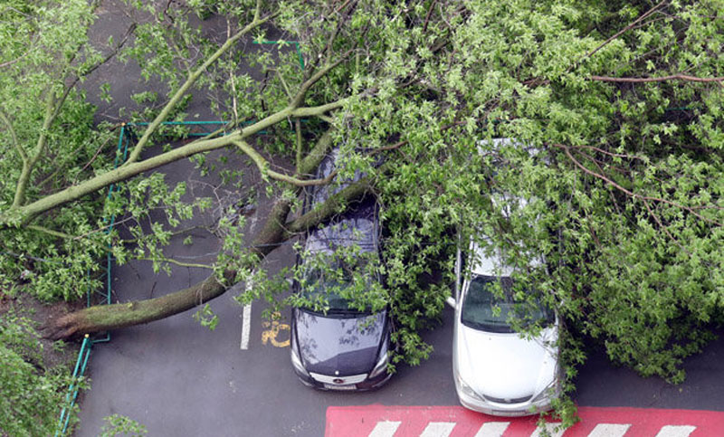 11 dead in powerful cyclone in Moscow