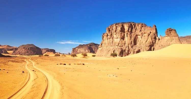 44 dead in the Sahara desert for thirsty