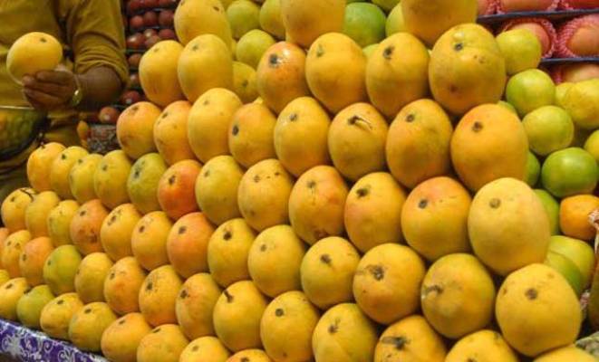 Rajshahi mango will be exported to six countries of Europe