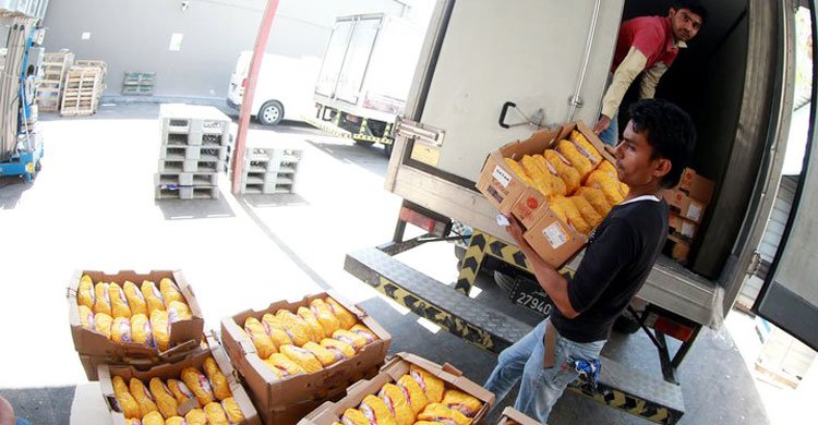 Iran will send more food to Qatar