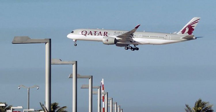 Qatar has flown 4,000 cows on the plane
