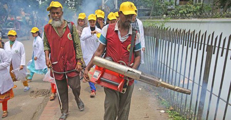 Recruitment of more than 108 workers in mosquito nets