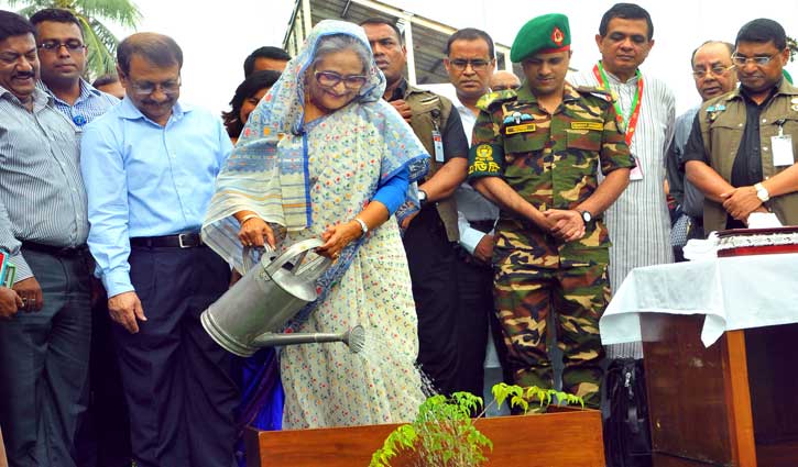 Prime Minister planting trees