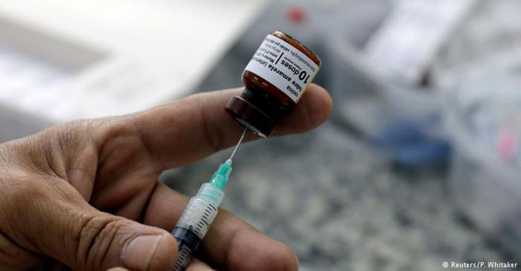 Yellow fever:100 million people vaccinate the UN