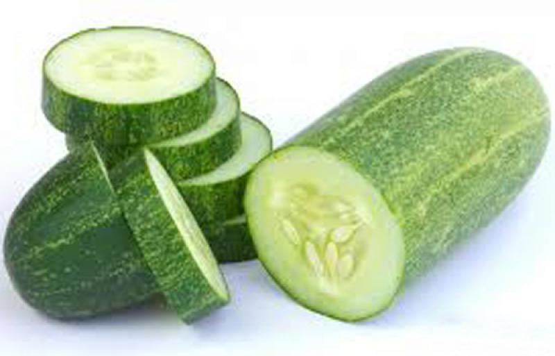 জেনে নিন শসার গুনাগুণ