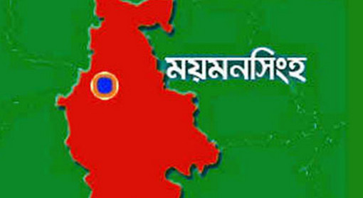গোয়ালঘরে ফেলে রাখা মায়ের পাশে রওশনসহ তিন এমপি