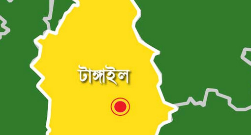 টাঙ্গাইলের সালমা খাতুনের বেতন ৩ কোটি ৪০ লাখ ৩৮ হাজার টাকা,জেনে নিন কি সেই চাকরি।