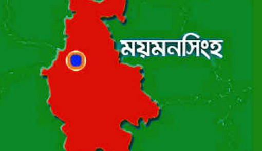 নান্দাইলে সড়ক দুর্ঘটনায় নিহত-২ ও আহত-১৫