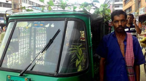 সিএনজি’তে শিমগাছ, বৃক্ষ নিধনের যুগে উদাহরণই বটে