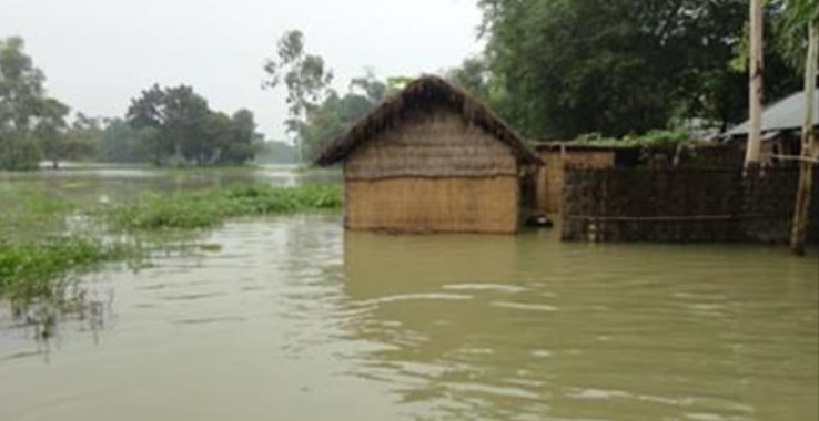 তিস্তায় পানি বৃদ্ধি, নিম্নাঞ্চলে বন্যা