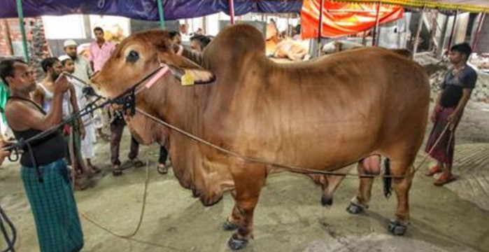 ঢাকার বুকে টেক্সাসের ‘সুলতান’