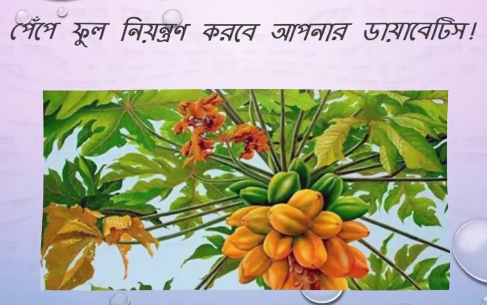 পেঁপে ফুল নিয়ন্ত্রণ করবে আপনার ডায়াবেটিস