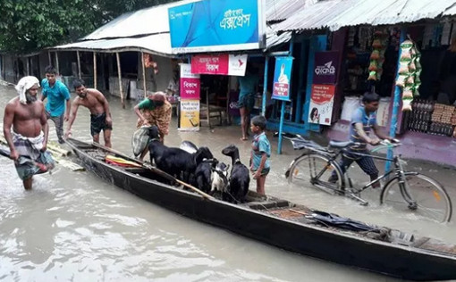 দিনাজপুরে বেড়েছে বিভিন্ন রোগের প্রাদুর্ভাব, বিশুদ্ধ পানি ও খাবারের তীব্র সংকট: সড়ক-রেল যোগাযোগ বন্ধ
