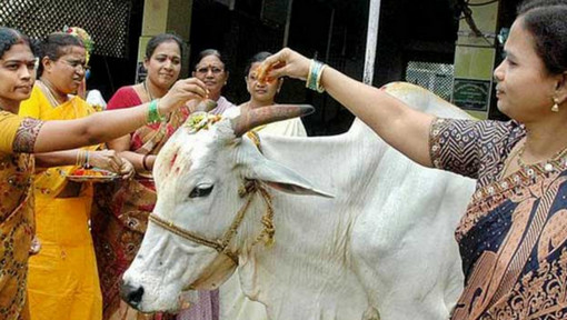 গরুর মাংস খাওয়ার গুজবে ৭ জনকে পিটুনি, আটক করল পুলিশও