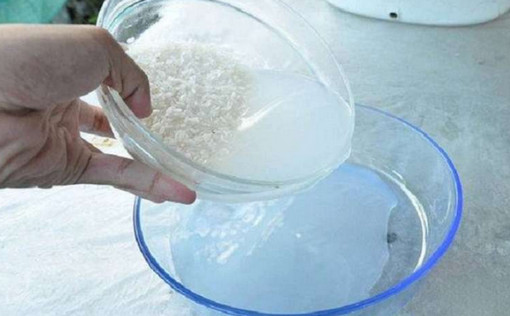 স্বাস্থ্য সুরক্ষায় চাল ধোয়া পানির ব্যবহার!