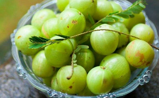 ডায়াবেটিস নিয়ন্ত্রণে রাখে আমলকি!