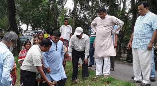 বজ্রপাত রোধে কালীগঞ্জে ১০ হাজার তালের চারা রোপণ