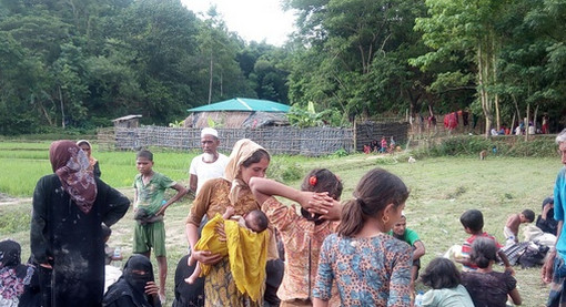 বালুখালিতে আশ্রয় ‘পাবে’ নতুন আসা রোহিঙ্গারা