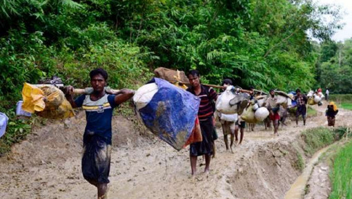 রাখাইনে বাকি থাকল সোয়া লাখ রোহিঙ্গা