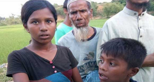 ‘আপনি সু চিকে লিখবেন রোহিঙ্গাদের কোন দোষ নেই, আমরা মুসলিম এটাই আমাদের অপরাধ’