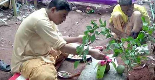 বেলতলায় বোধন পুজোর মাধ্যমে দেবী দূর্গার আবাহনে শুরু হয়েছে দূর্গোৎসব