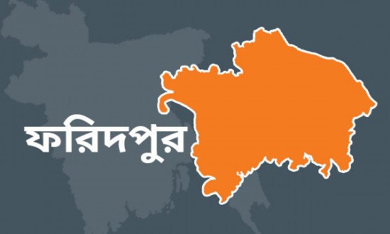 ফরিদপুর শহরে বেড়েছে পাগলা কুকুরের উৎপাত, দেখার কেউ নেই