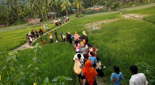রোহিঙ্গা সঙ্কটের পূর্বাভাসের প্রতিবেদন চাপা দিয়েছিল জাতিসংঘ