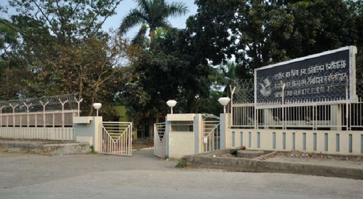 ছাত্রদের সঙ্গে একই হলে থাকার দাবি ছাত্রীদের!