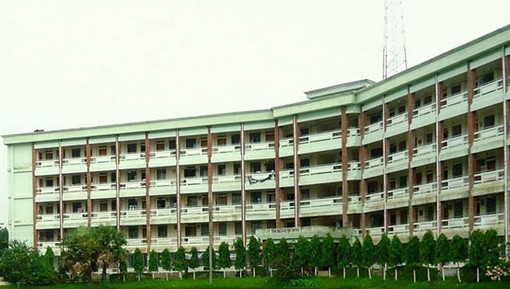 কবি নজরুল বিশ্ববিদ্যালয়ে কুকুরের উৎপাত