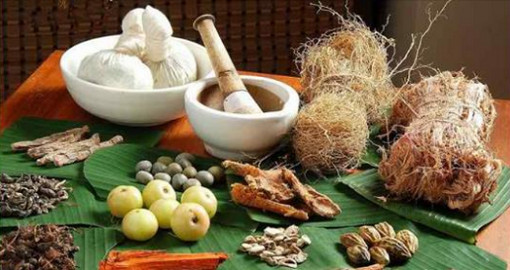 যে গাছটি ১০০ রোগের ঔষধ