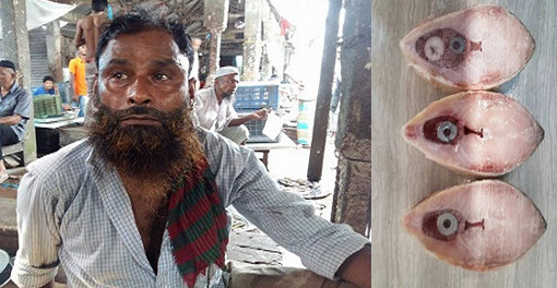 ইলিশ মাছের ভিতরে লোহা ঢুকিয়ে জালিয়াতি