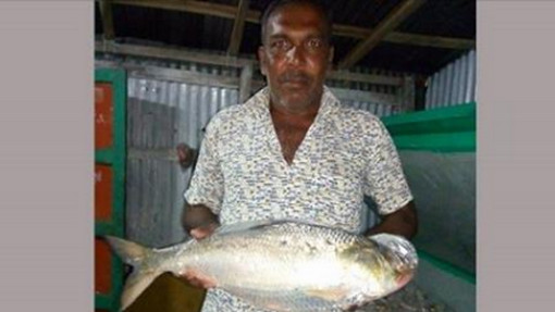দশ হাজার টাকায় তিন কেজির ইলিশ
