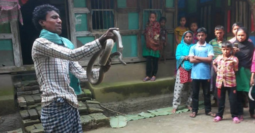 সাপে কাটলে ভয় পাবেন না, দেখে নিন কি করা উচিত- শেয়ার করে রেখে দিন উপকারে আসবে