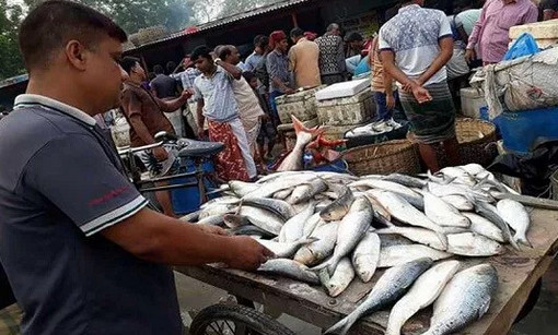 কম দামে ইলিশ কিনতে এত ভিড়!