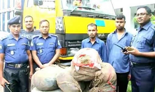 লালমনিরহাটে ৫৩ কেজি গাঁজাসহ ড্রাইভার ও হেল্পার গ্রেপ্তার