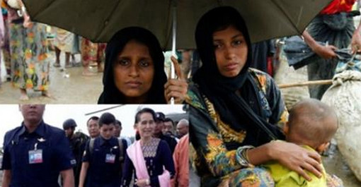 সু চির বক্তব্যে রোহিঙ্গাদের মধ্যে মারাত্মক প্রতিক্রিয়া