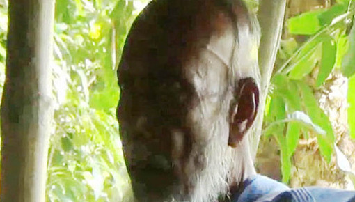 মোবাইলে শিশু ধর্ষণের ভিডিও, আটক সত্তরোর্ধ্ব বৃদ্ধ