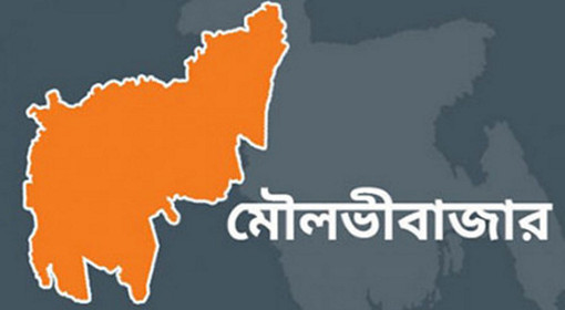 কমলগঞ্জে সংখ্যালগুর বাড়ীতে হামলা! পিএসসি পরীক্ষার্থী সহ আহত-৩