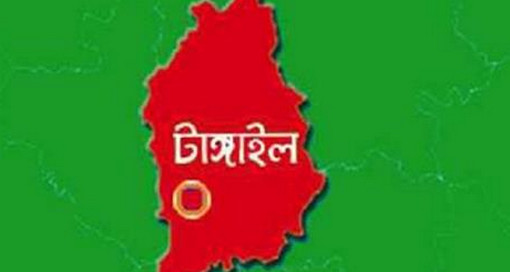 মির্জাপুরে গৃহবধূকে হত্যার অভিযোগে স্বামী-শাশুড়ি আটক