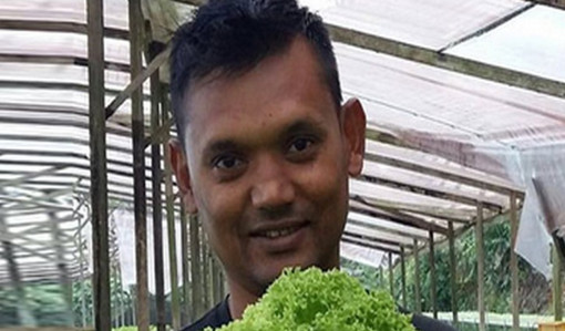 মালয়েশিয়ায় সবজি চাষে ভাগ্য ফিরল বাংলাদেশী নিরবের