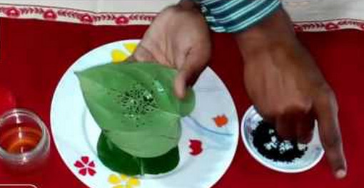 বিছানায় স্ত্রী কে তৃপ্তি দিন ২৫ বছরের যুবকের মত! বিছানায় তুফান তুলুন, দেখুন কি খাবেন কিভাবে খাবেন, (ভিডিও সহ)