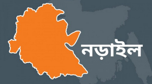 নড়াইলে আগুনে পুড়ে প্রায় দেড়শ ছাগলের মৃত্যু