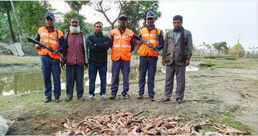 তালতলীতে ২৫০টি হাঙ্গরের বাচ্ছা জব্দ